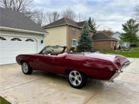 Buick SKYLARK - <small></small> 42.000 € <small>TTC</small> - #6