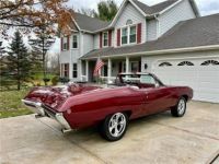 Buick SKYLARK - <small></small> 42.000 € <small>TTC</small> - #11