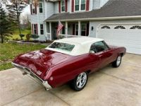 Buick SKYLARK - <small></small> 42.000 € <small>TTC</small> - #33