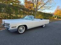 Cadillac Eldorado Convertible  - <small></small> 76.000 € <small>TTC</small> - #5