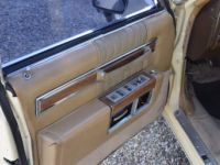 Cadillac Fleetwood Brougham Limousine - <small></small> 9.600 € <small>TTC</small> - #12