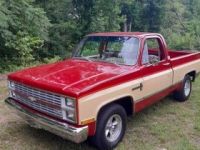 Chevrolet C10 - <small></small> 18.000 € <small>TTC</small> - #1