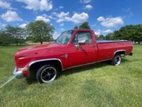 Chevrolet C10 - <small></small> 19.000 € <small>TTC</small> - #1