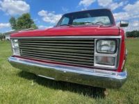 Chevrolet C10 - <small></small> 19.000 € <small>TTC</small> - #4