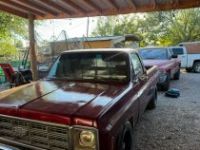 Chevrolet C10 - <small></small> 22.000 € <small>TTC</small> - #5