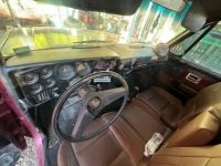 Chevrolet C10 - <small></small> 22.000 € <small>TTC</small> - #12