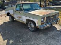 Chevrolet C10 - <small></small> 17.000 € <small>TTC</small> - #1