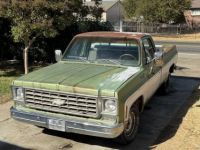 Chevrolet C10 - <small></small> 17.000 € <small>TTC</small> - #18