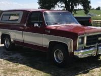 Chevrolet C10 - <small></small> 37.000 € <small>TTC</small> - #1