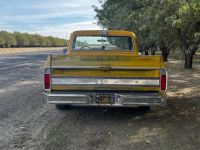 Chevrolet C10 - <small></small> 32.000 € <small>TTC</small> - #6