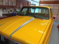 Chevrolet C10 - <small></small> 38.000 € <small>TTC</small> - #1