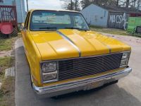 Chevrolet C10 - <small></small> 38.000 € <small>TTC</small> - #4