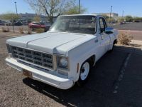 Chevrolet C10 - <small></small> 19.000 € <small>TTC</small> - #1