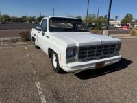 Chevrolet C10 - <small></small> 19.000 € <small>TTC</small> - #7