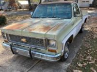 Chevrolet C10 - <small></small> 16.000 € <small>TTC</small> - #16