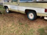 Chevrolet C10 - <small></small> 16.000 € <small>TTC</small> - #23