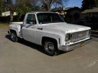 Chevrolet C10 - <small></small> 31.000 € <small>TTC</small> - #1