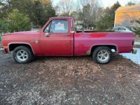 Chevrolet C10 - <small></small> 20.000 € <small>TTC</small> - #11