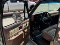 Chevrolet C10 - <small></small> 33.500 € <small>TTC</small> - #9