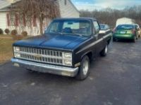 Chevrolet C10 - <small></small> 17.100 € <small>TTC</small> - #1