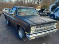 Chevrolet C10 - <small></small> 17.100 € <small>TTC</small> - #2