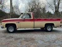 Chevrolet C10 - <small></small> 18.800 € <small>TTC</small> - #2