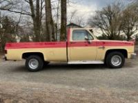 Chevrolet C10 - <small></small> 18.800 € <small>TTC</small> - #7