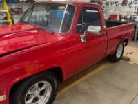 Chevrolet C10  - <small></small> 21.300 € <small>TTC</small> - #1