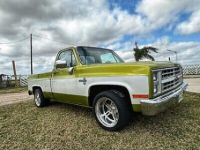 Chevrolet C10 C-10  - <small></small> 24.000 € <small>TTC</small> - #5