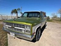 Chevrolet C10 C-10  - <small></small> 24.000 € <small>TTC</small> - #9