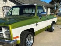 Chevrolet C10 C-10  - <small></small> 24.000 € <small>TTC</small> - #11