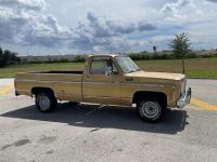 Chevrolet C10 C-10  - <small></small> 18.000 € <small>TTC</small> - #3