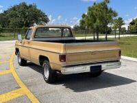 Chevrolet C10 C-10  - <small></small> 18.000 € <small>TTC</small> - #8