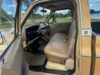 Chevrolet C10 C-10  - <small></small> 18.000 € <small>TTC</small> - #19