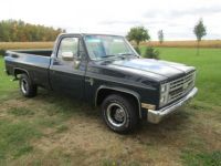 Chevrolet C10 C-10  - <small></small> 31.000 € <small>TTC</small> - #1