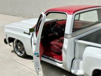 Chevrolet C10 C-10  - <small></small> 72.000 € <small>TTC</small> - #20