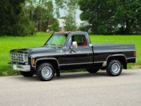 Chevrolet C10 C-10  - <small></small> 45.000 € <small>TTC</small> - #32