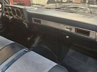 Chevrolet C10 C-10  - <small></small> 36.000 € <small>TTC</small> - #28