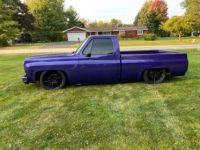 Chevrolet C10 C-10  - <small></small> 43.000 € <small>TTC</small> - #10