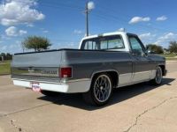 Chevrolet C10 C-10  - <small></small> 43.000 € <small>TTC</small> - #5