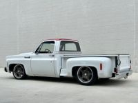 Chevrolet C10 C-10  - <small></small> 69.000 € <small>TTC</small> - #9