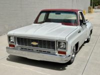 Chevrolet C10 C-10  - <small></small> 69.000 € <small>TTC</small> - #11