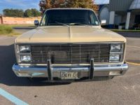 Chevrolet C10 C-10  - <small></small> 29.000 € <small>TTC</small> - #2