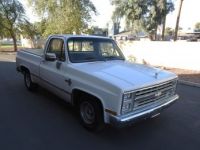 Chevrolet C10 C-10  - <small></small> 54.000 € <small>TTC</small> - #10