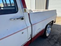 Chevrolet C10 C-10  - <small></small> 22.000 € <small>TTC</small> - #22