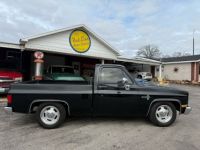 Chevrolet C10 C-10  - <small></small> 38.000 € <small>TTC</small> - #4