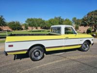 Chevrolet C10 custom deluxe  - <small></small> 53.000 € <small>TTC</small> - #14