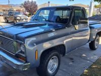 Chevrolet C10 pickup  - <small></small> 25.000 € <small>TTC</small> - #2