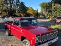 Chevrolet C10 pickup  - <small></small> 39.000 € <small>TTC</small> - #1