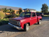 Chevrolet C10 pickup  - <small></small> 39.000 € <small>TTC</small> - #6